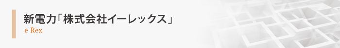 新電力「株式会社イーレックス」 新電力「株式会社イーレックス」